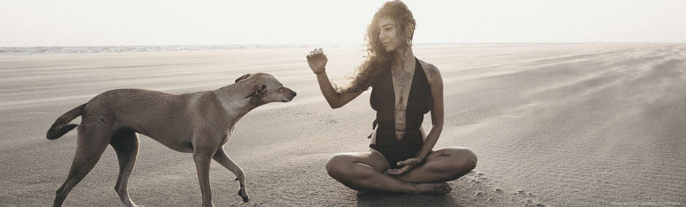 Image of a woman sitting and reaching out to a dog, showing love and co-existing.