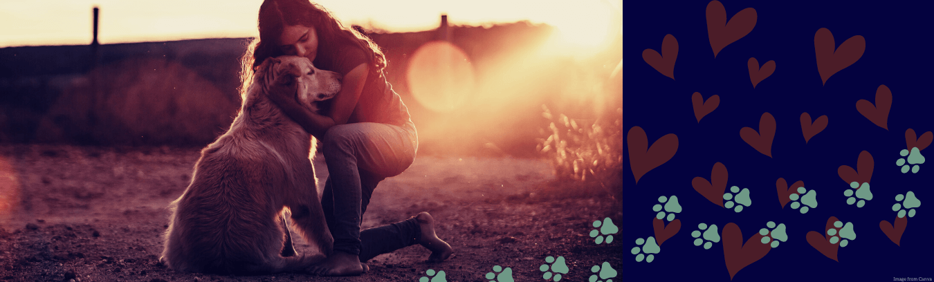 Image of a dark haired woman holding a golden, shaggy dog in an embrace. The sun is setting in the background and they are sitting on a dirt patch with the sun going down over their shoulders.